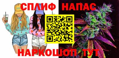 гидра Гатчина