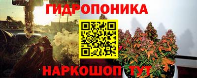 гидра Гатчина