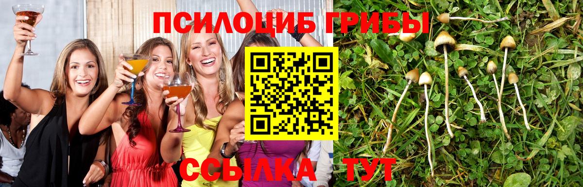 Галлюциногенные грибы MAGIC MUSHROOMS Пушкино