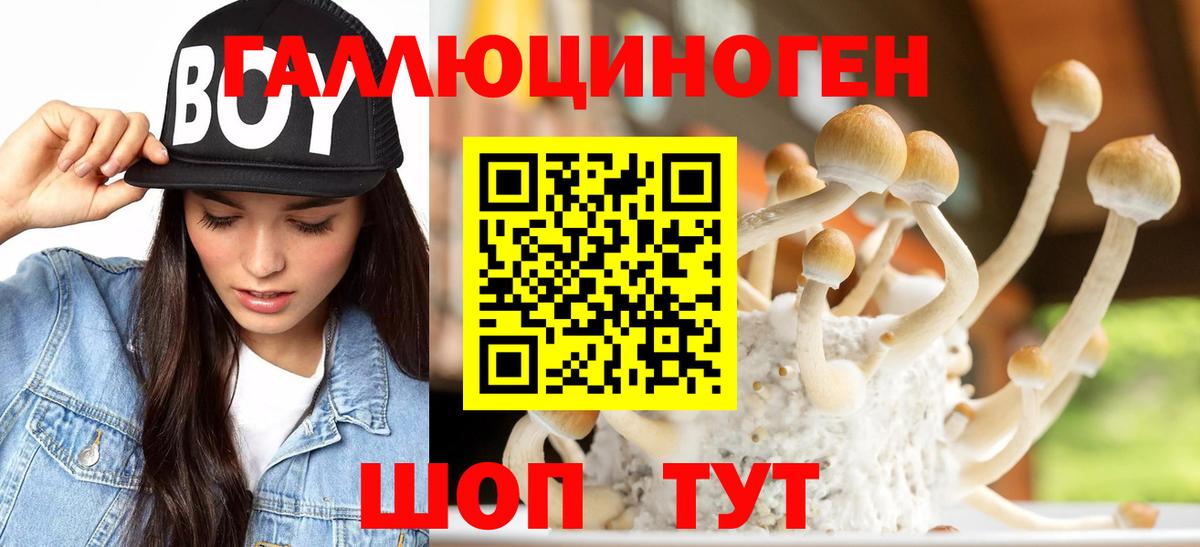 Пушкино  Галлюциногенные грибы MAGIC MUSHROOMS  Псилоцибиновые грибы Cubensis  Вход с VPN 